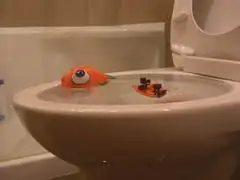 fish toy floating in an overflowing toilet bowl